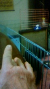 201303082213000.jpg