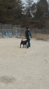 2013031010430000.jpg