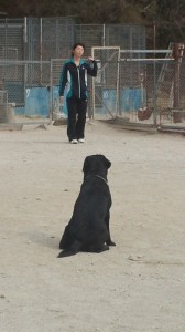 2013031010440000.jpg