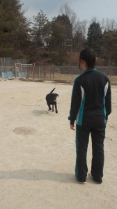 2013031010440002.jpg