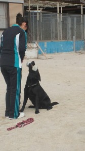 2013031010490001.jpg