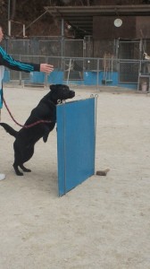 2013031011020000.jpg