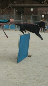 2013031011050001.jpg