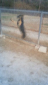 201303111804000.jpg