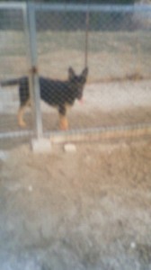 201303111805001.jpg