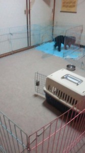 2013040217250000 2013040217250000.jpg