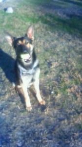 201311300751002.jpg