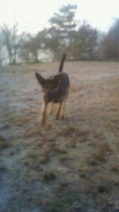 201312030724000.jpg