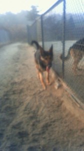201312030727001.jpg
