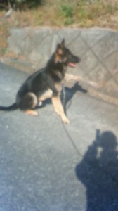 201312051046000.jpg