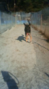 201312051051000.jpg