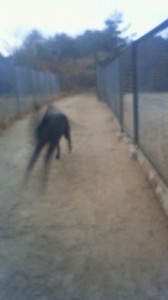 201312070731000.jpg