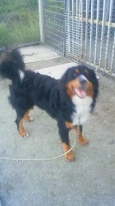 201506061847000 201506061847000.jpg