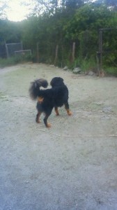 201506061847001 201506061847001.jpg