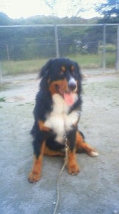 201506061900000 201506061900000.jpg