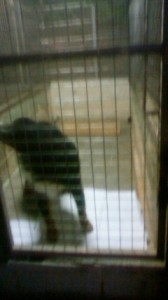 201506061909000 201506061909000.jpg