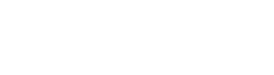 チャンピオン犬紹介