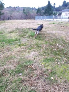20171210_132229.jpg