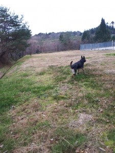 20171210_132320.jpg