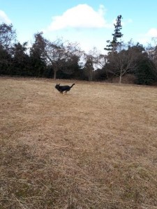 20171215_120227.jpg
