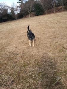 20171215_120405.jpg