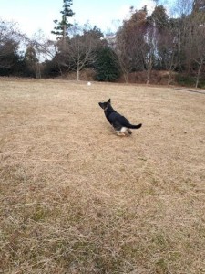 20171215_120459.jpg