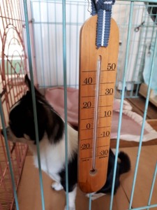 20190909_125559.jpg