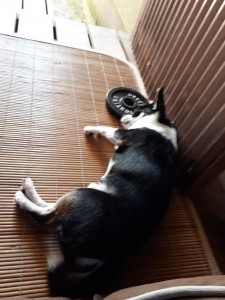 20190909_145156.jpg