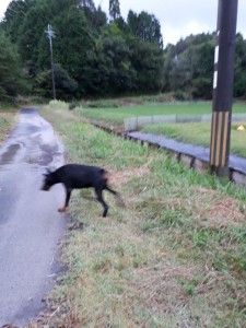 20191004_055925.jpg