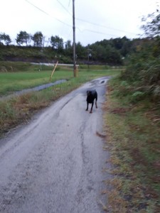 20191004_060059.jpg