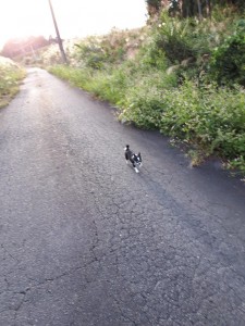 20191004_162850.jpg