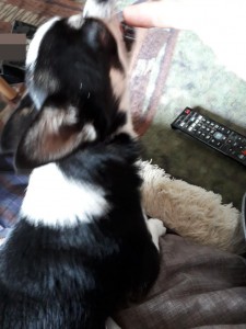 20191006_193258.jpg