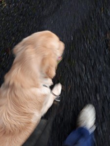20191013_171308.jpg