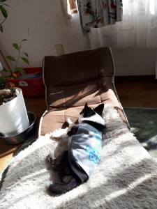 20191022_093105.jpg