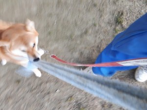 20191102_065002.jpg