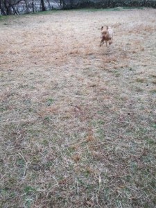 20240110_083754.jpg