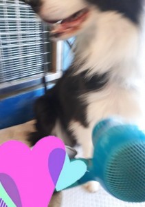 20251008_175209.jpg