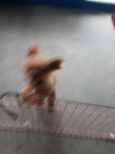 20251014_064607.jpg