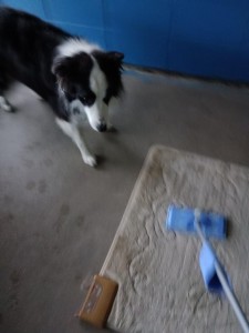 IMG_20251022_165457.jpg