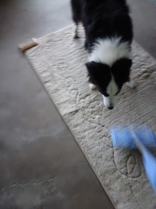 IMG_20251022_165517.jpg