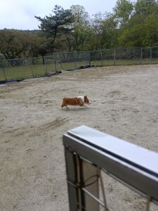 IMG_20260507_073823_1.jpg