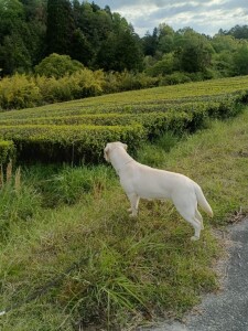 IMG_20260509_062020.jpg