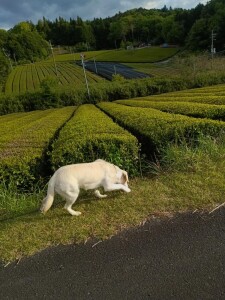 IMG_20260509_062309.jpg