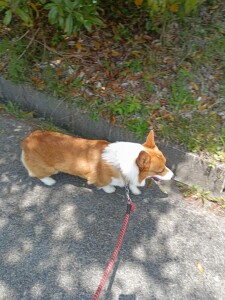 IMG_20260515_120035_2.jpg