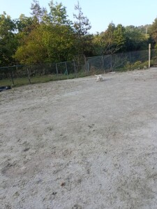 IMG_20260516_055551.jpg