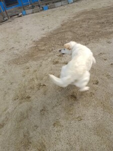 IMG_20260523_055920_3.jpg