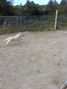 IMG_20260523_055940_1.jpg