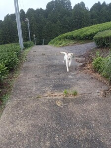 IMG_20260605_060207_1.jpg