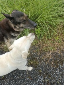 IMG_20260605_075207_2.jpg