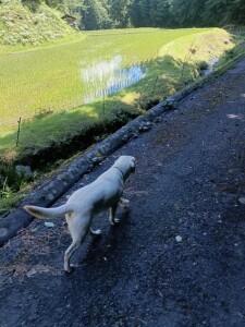 IMG_20260610_093806.jpg